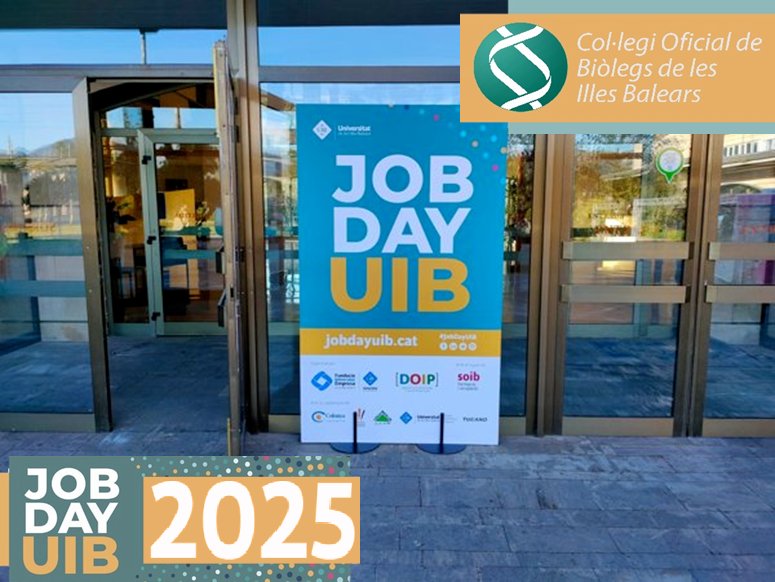 📌 Com cada any COBIB estarà al #JobDayUIB que organitza la Universitat de les Illes Balears.
🗓️ 12 de març
🕘 de 09:30 a 15:00 h
📍Edifici Arxiduc Lluís Salvador, córner de col·legis professionals 03
+ ℹ️ 👉 jobdayuib.cat
