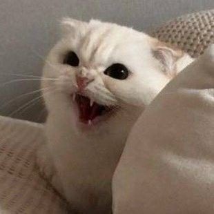 BittyCharm's tweet image. เนี่ย!!! พี่เรียกชื่อหนุผิดอีกแล้วอ๊ะะะ!!