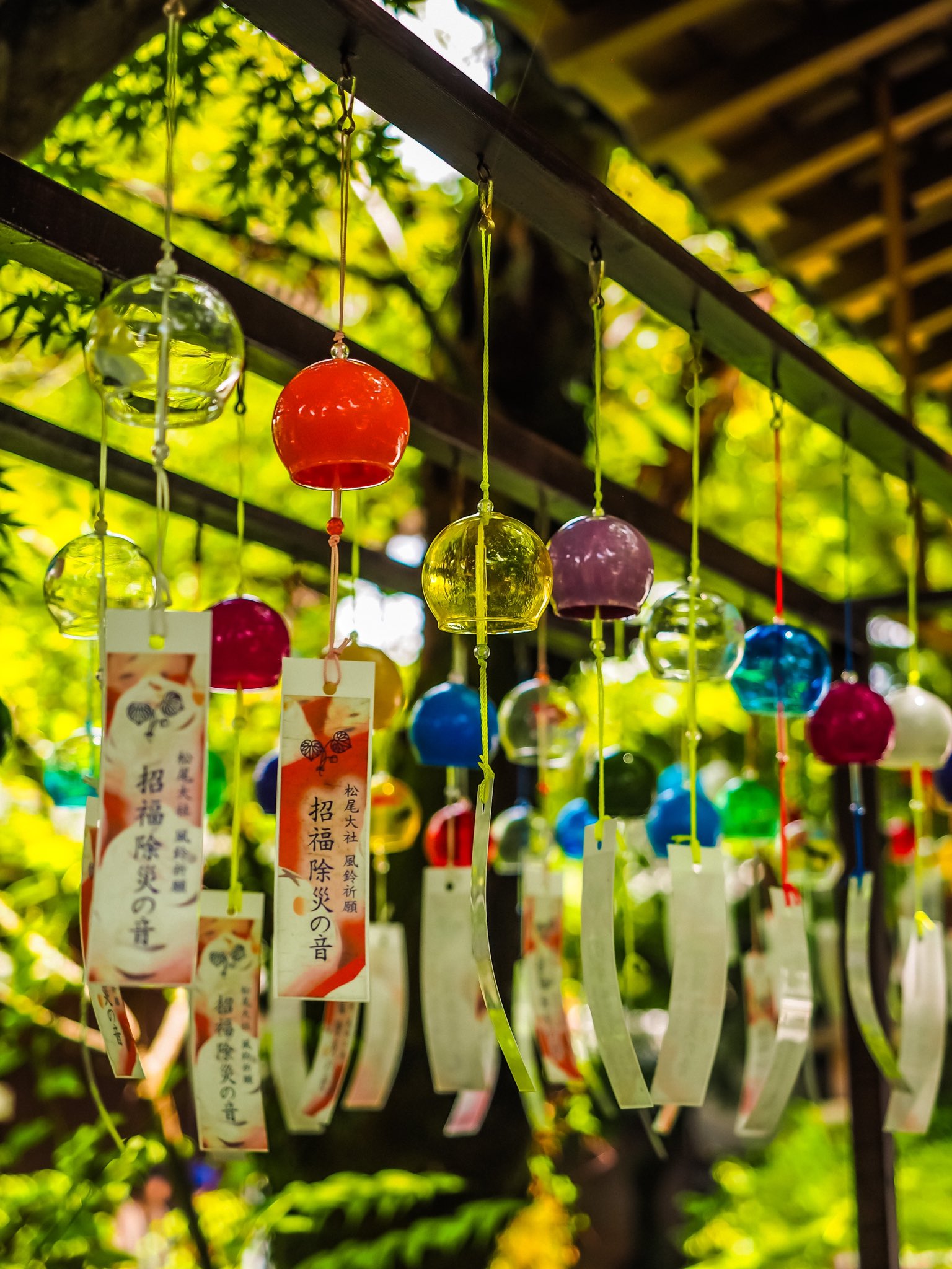 【晴れ日☀必ずプロフ観覧お願いです(^^)】 晴れ日☀必ずプロフ観覧お願いです(^^)】 カメラを持って、海🫧