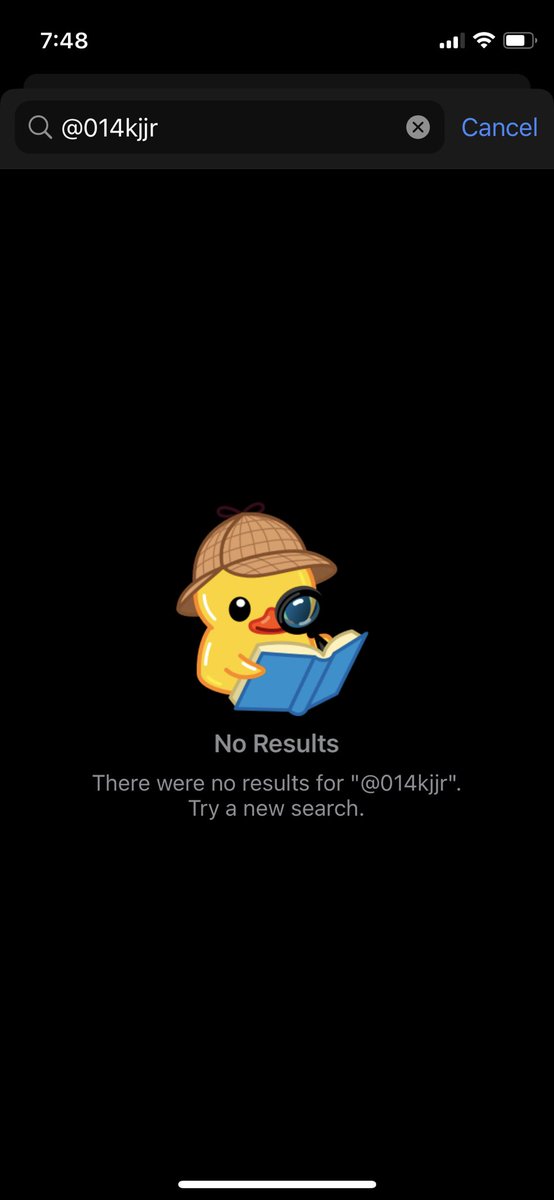 🐧 tweet media
