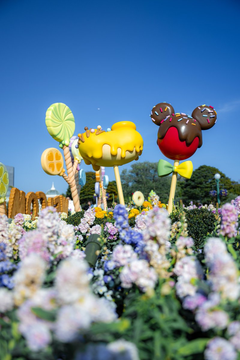 美味しそうなお菓子✨