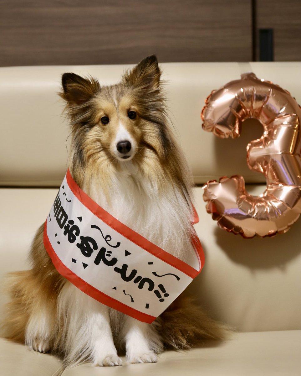 モネちん、3歳になりました🎉