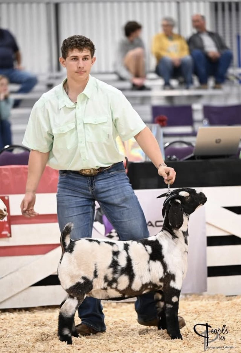 Student interns are tasked with duties that run the gamut from curating displays in retail consignment shops to wrenching on automobiles to inserting embryos into female goats. Find out more about FHS’ internship and mentoring program! rebrand.ly/dz2j0dp