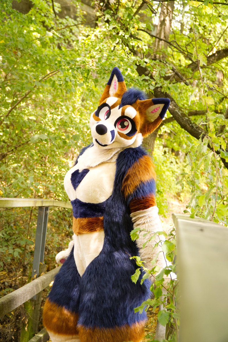 rubyfurrycat tweet media