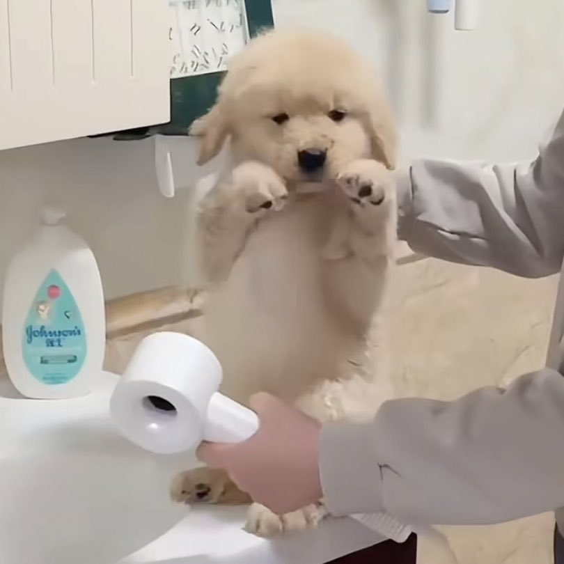 takemybear 🐶 tweet media
