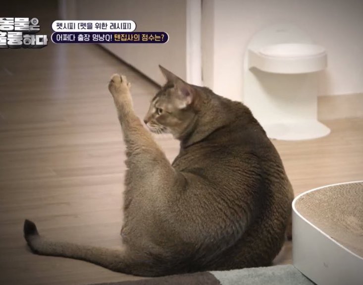 มะหวาน ᯓ★ tweet media