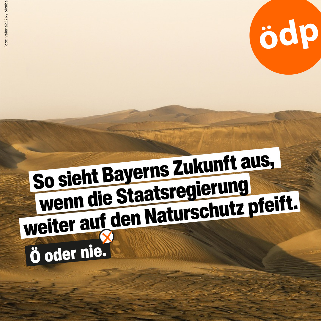 Viele Pflanzen und Tiere verschwinden. Der Zeitpunkt zum Handeln in Bayern ist JETZT. Bäume umarmen hilft nicht. Der Naturschutz kann nicht pausieren. Wenn Söders Regierung also Kürzungen plant, sieht es für Bayerns Natur irgendwann aus wie auf dem Bild.
#ÖDP #orangeaktiv