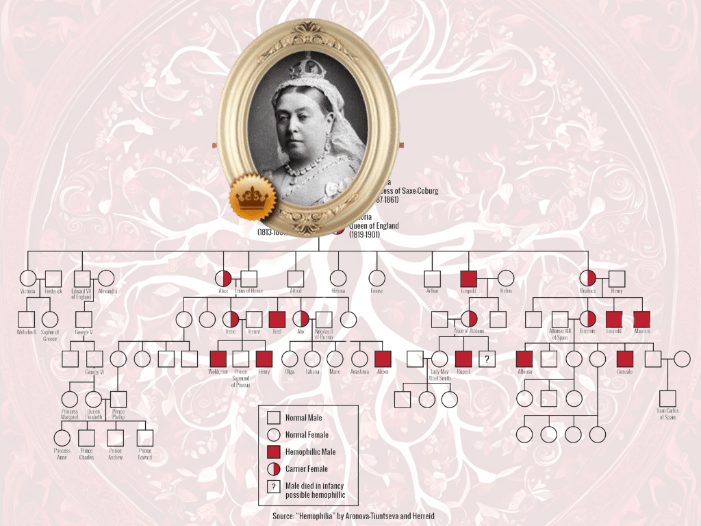BlogSimbiosis's tweet image. Una herencia envenenada: El árbol genealógico de la realeza europea proyectosimbiosis.colectivocrecet.com/recursos/una-h…