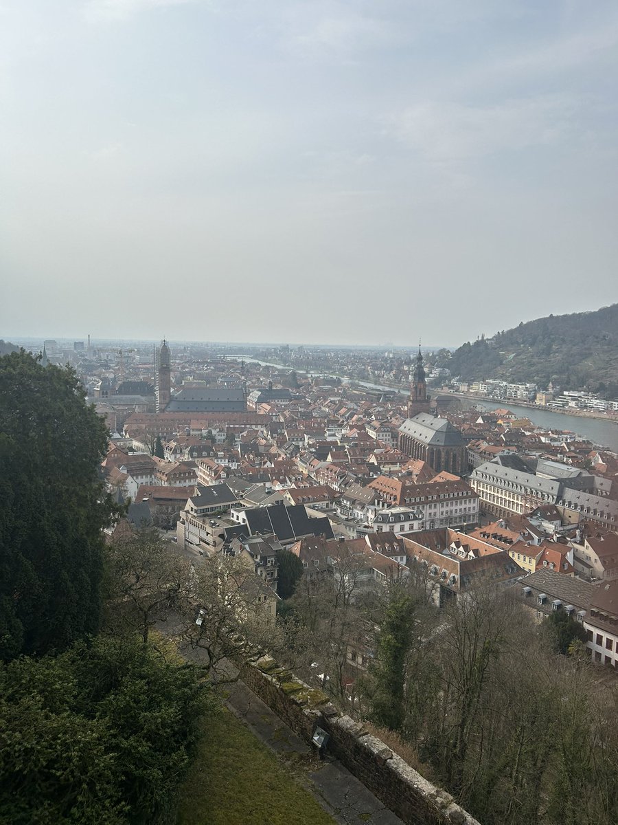 Mike Damous (@mikedamous) on Twitter photo Hokie in Heidelberg! I’m in my main man <a href="/_HannesHammer/">Hannes Hammer</a> home country this week! Beautiful place, great food, & amazing people. Hokie in Heidelberg! I’m in my main man <a href="/_HannesHammer/">Hannes Hammer</a> home country this week! Beautiful place, great food, & amazing people.