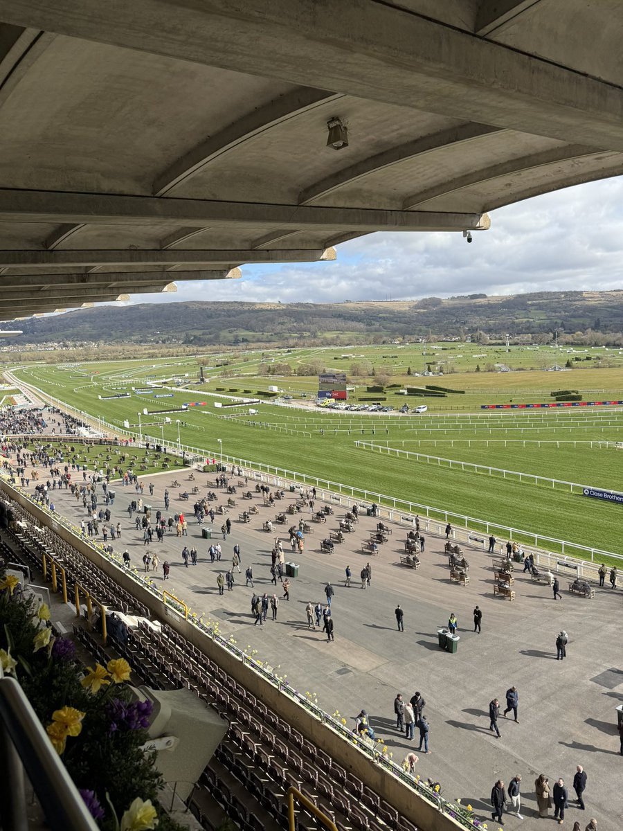 📍Cheltenham Festival

Let’s do this