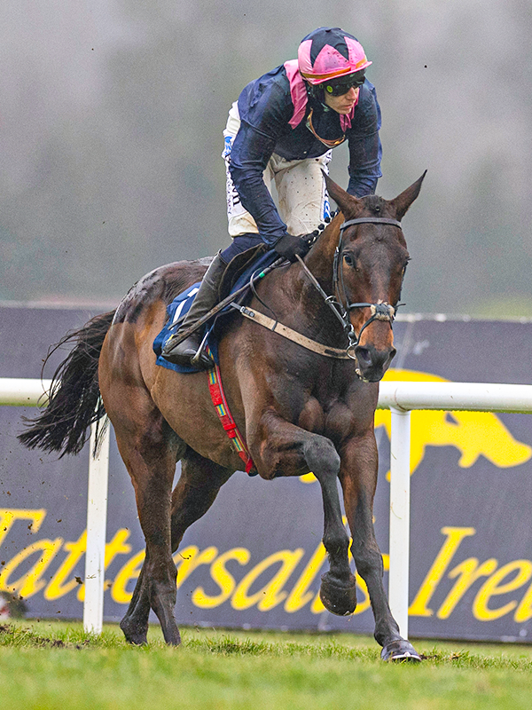 KOPEK DES BORDES WINS THE MICHAEL O'SULLIVAN SUPREME NOVICES' HURDLE 🎉