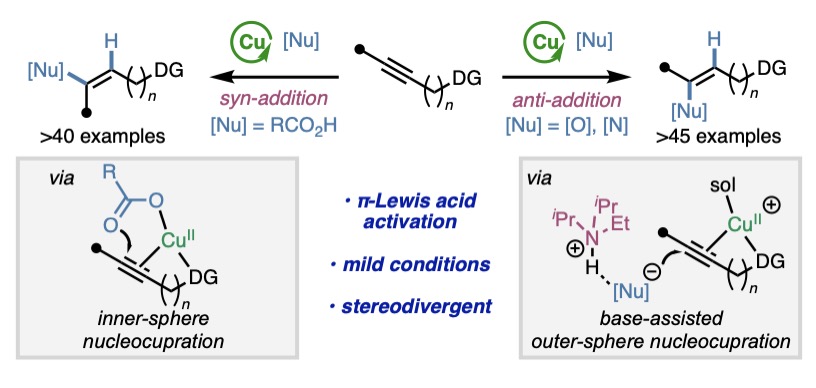 Engle Lab (@englelab) on Twitter photo >3 years in the making, we are excited to debut <a href="/sunjuntao1/">Juntao Sun</a>'s discovery of copper(II) as a potent π-Lewis acid catalyst for redox-neutral, regiodivergent OH and NH additions to unactivated alkynes. Great teaming up w/ <a href="/pengliu_group/">Peng Liu Group</a>.
<a href="/ChemRxiv/">ChemRxiv</a> tinyurl.com/yc22et5d >3 years in the making, we are excited to debut <a href="/sunjuntao1/">Juntao Sun</a>'s discovery of copper(II) as a potent π-Lewis acid catalyst for redox-neutral, regiodivergent OH and NH additions to unactivated alkynes. Great teaming up w/ <a href="/pengliu_group/">Peng Liu Group</a>.
<a href="/ChemRxiv/">ChemRxiv</a> tinyurl.com/yc22et5d