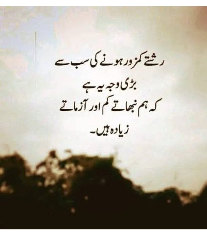 MuhammadYo43586's tweet image. 