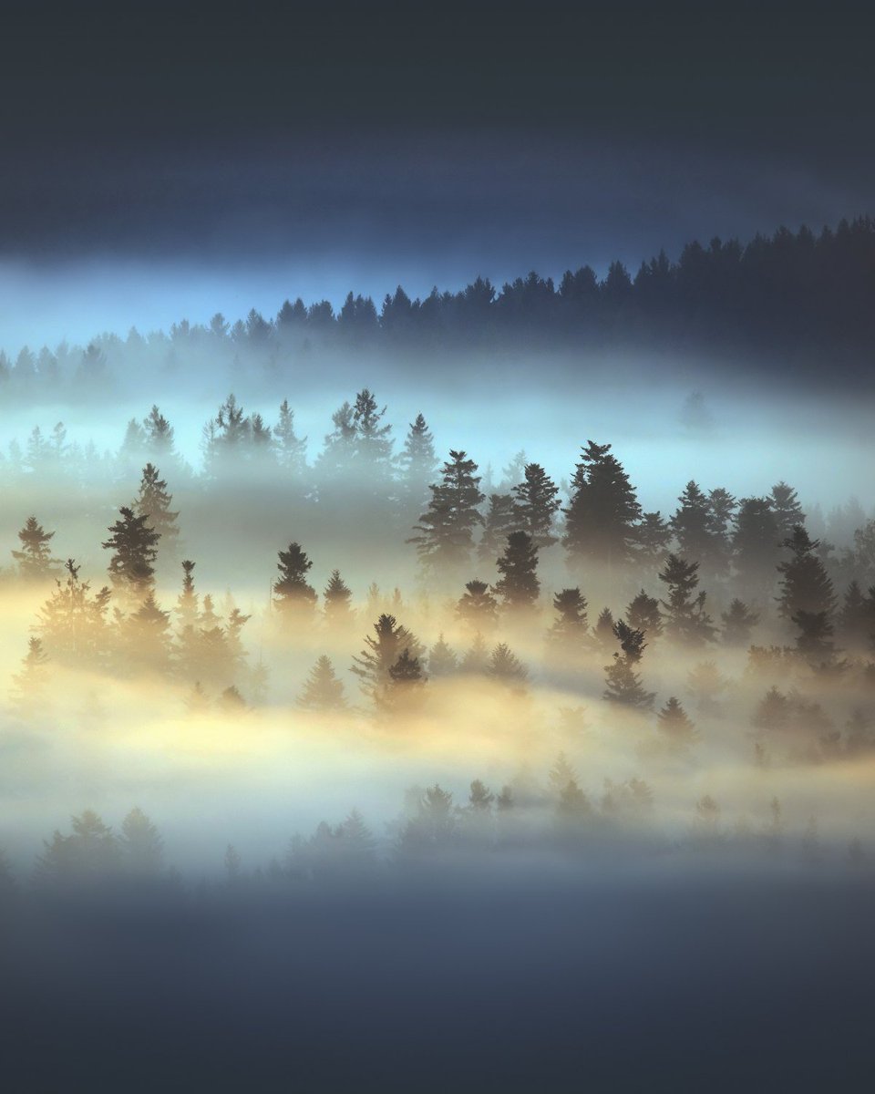 Intense Fog Atmosphere
Beautiful contrasts everywhere.

#landscapephotography #landschaftsfotografie #fog
