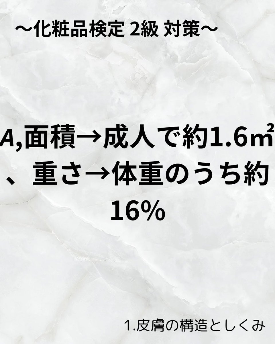 ほたる@化粧品検定2級有 d7e0f7072217fcc96e3df7c827c18e