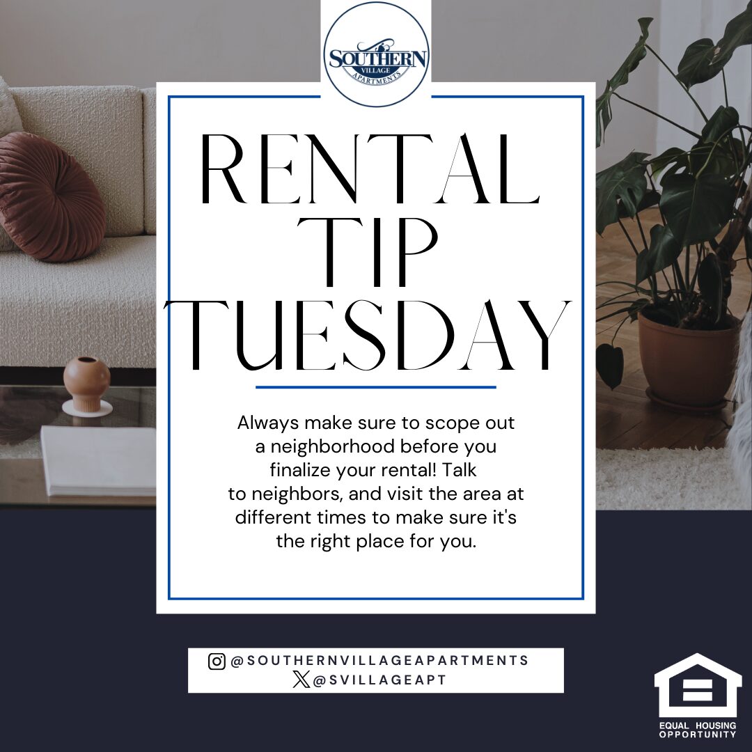 Happy Tuesday! Here’s your rental tip of the week: Always read the fine print! Understanding the lease terms, including deposits and maintenance policies, can save you headaches down the road. Stay informed and make smart moves! 🏡✨ #TuesdayTip #RentalAdvice #SmartRenting