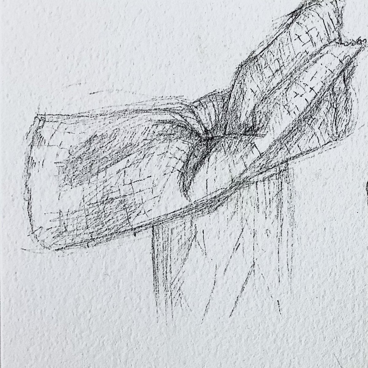 Paper towel stuffed into paper towel roll