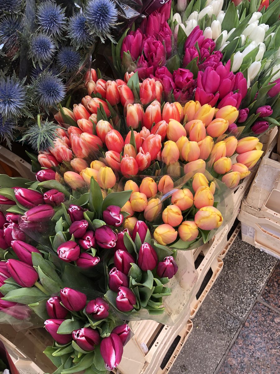 FergusPMcGrath's tweet image. Day #70 ✅

Nice Spring day in the Capital. 

#100daysofwalking 
#Mild ⛅️