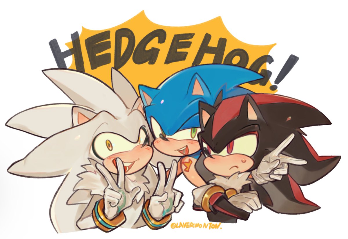 #SilverTheHedgehog
#SonicTheHedgehog 
#ShadowTheHedgehog 
🦔！