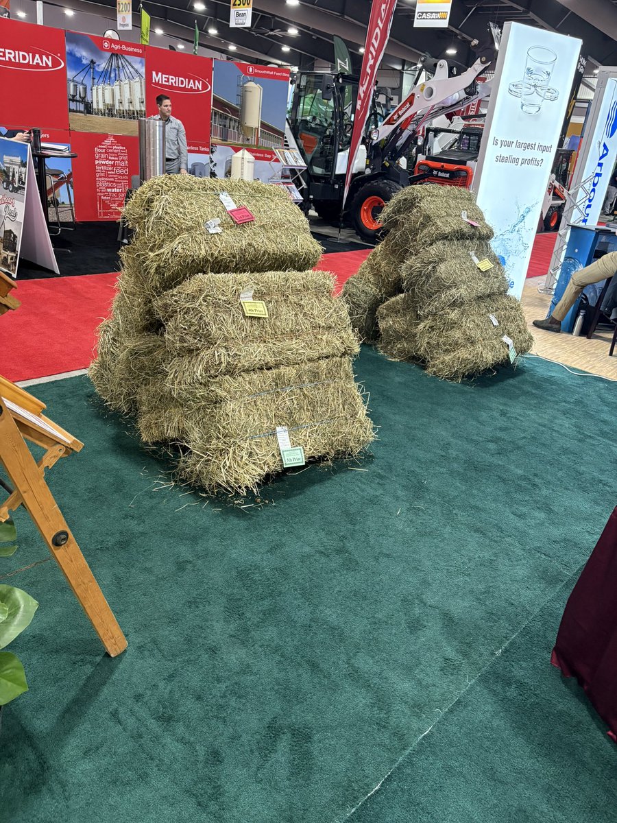 NuhnForage's tweet image. Join us at The Ottawa Valley Farm Show - March 11-13! 
#thejuice #juicekeepitcool #makeserioushay #hay2025 #madeincanada #canadianagriculture #ottawavalleyfarmshow