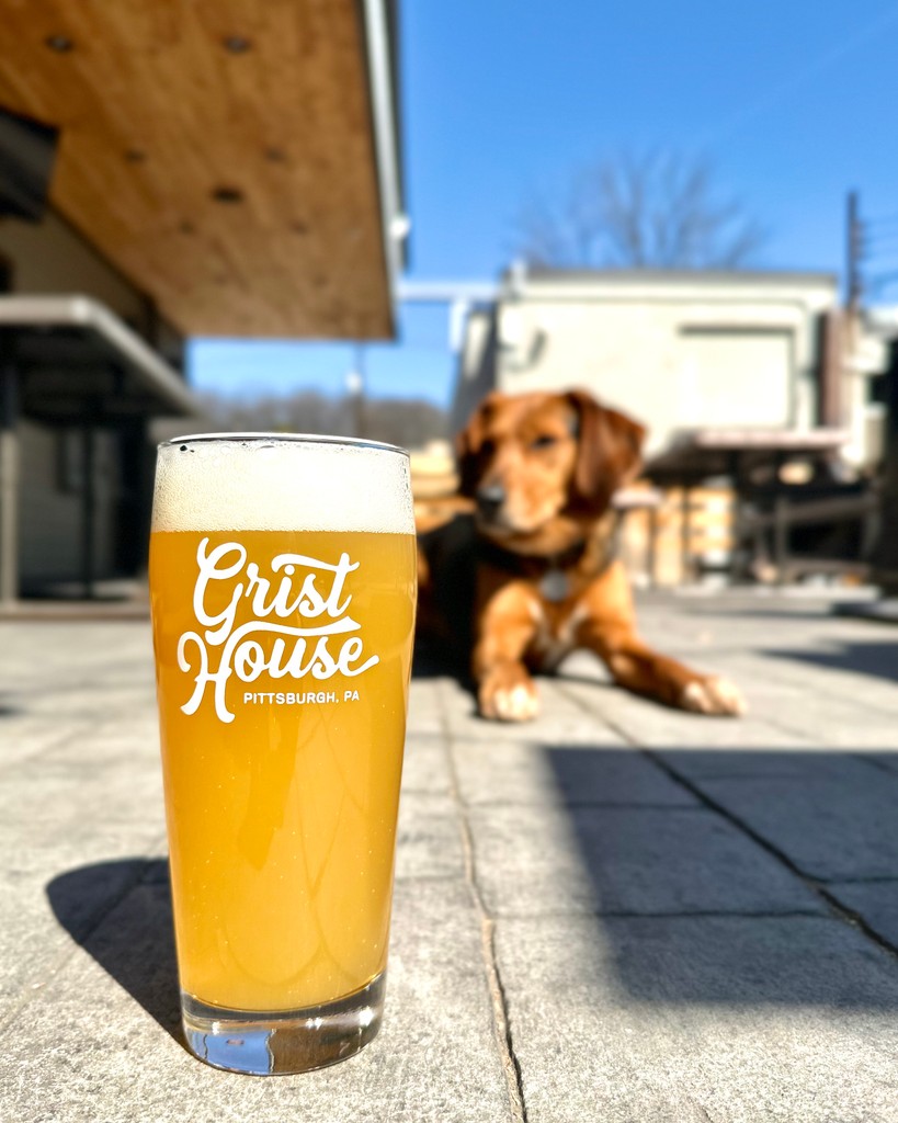 Blue skies &amp; puppy eyes... @saltypawspittsburgh is BACK! 🤩⁠
⁠
Join us tomorrow (Wednesday 3/12) for 70 DEGREE WEATHER IN MARCH! Our patio will be wide open and ready for you and your doggos to enjoy some beers on. ⁠