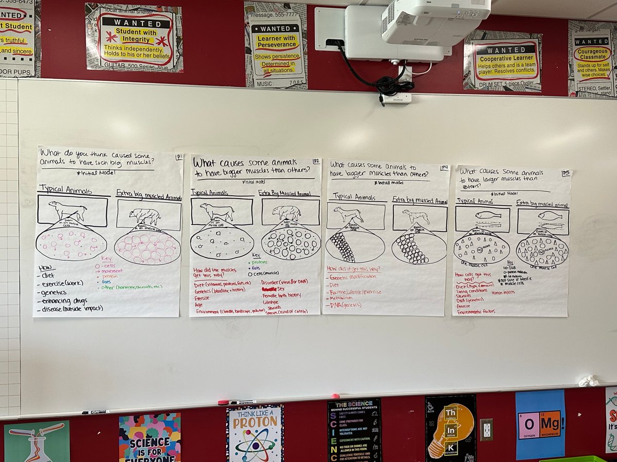 Some bomb-dot-com MODELS! These class consensus models were AMAZING (especially for the beginning of the year) 🤩