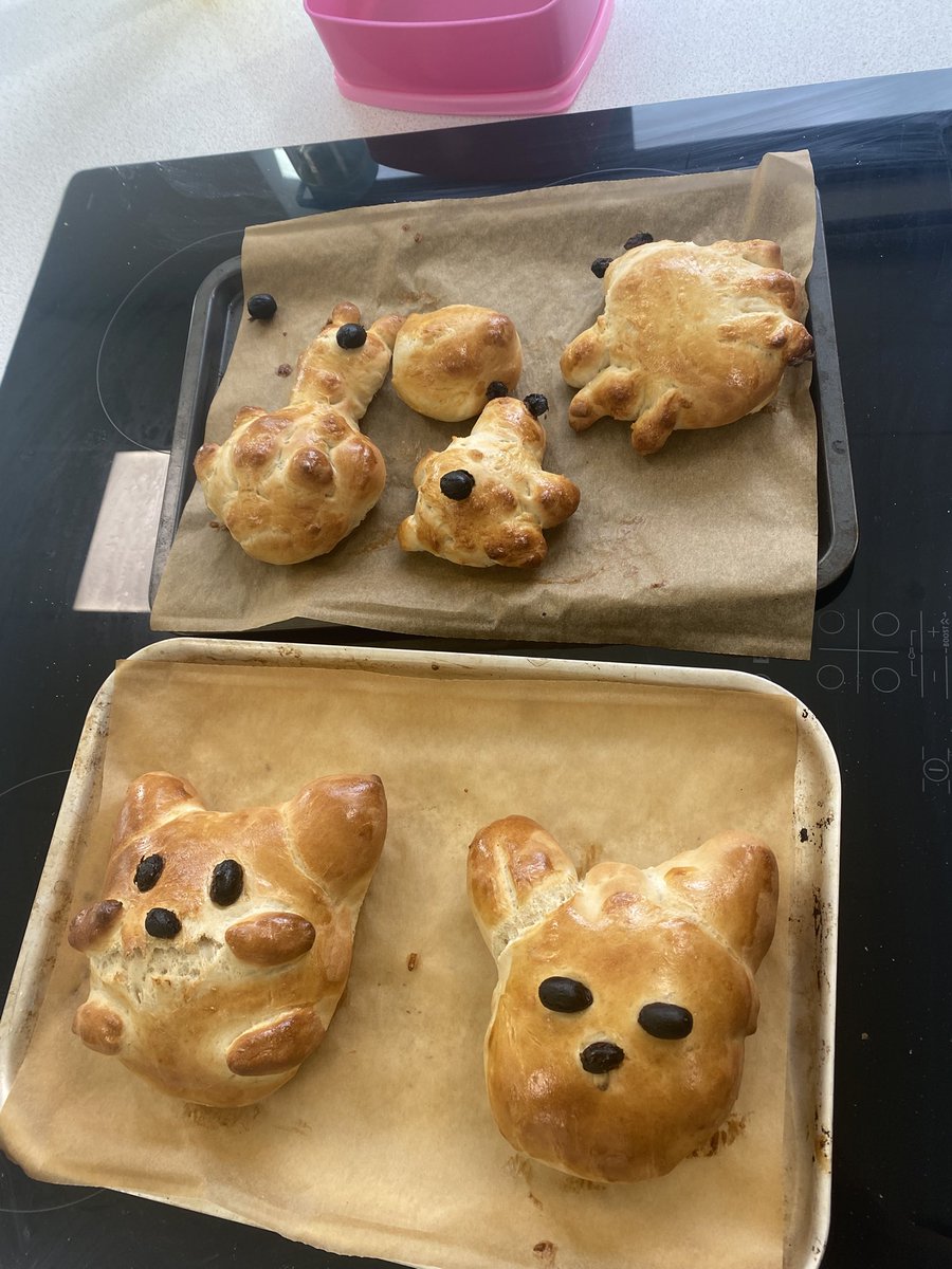 Rachel Murphy tweet media