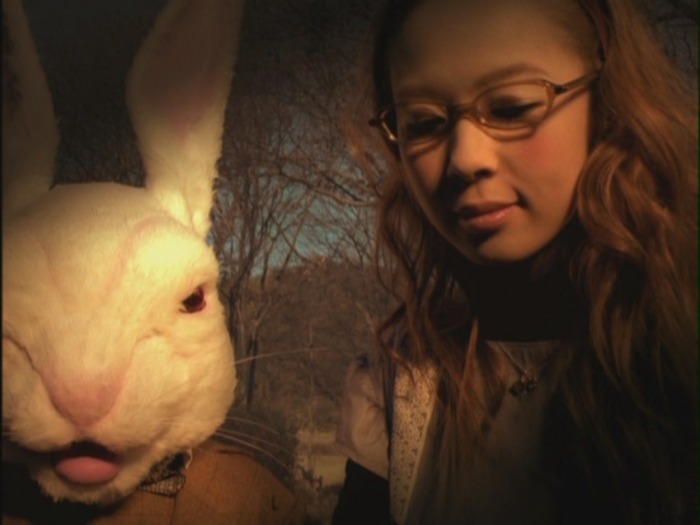 ⋆⭒˚.⋆ Happy 24th birthday to "Bloomin'!" - Tommy february6's third single!!