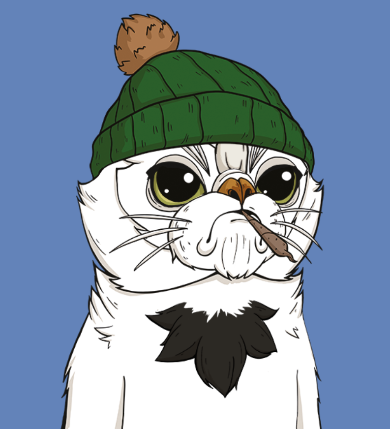 NFTCatClub's tweet photo. 🚨Invest in NFTs when Cryptos fall!🚨 
😻Get a Grumpy Cat!😻 
https://t.co/1Mn7x3hKUH 
🩷Spread the Grumpy Cats🩷 
#minting #gift #nft #crypto #PFP #eth #ethereum #btc #profilepicture #collector https://t.co/ucc0zLRGXu