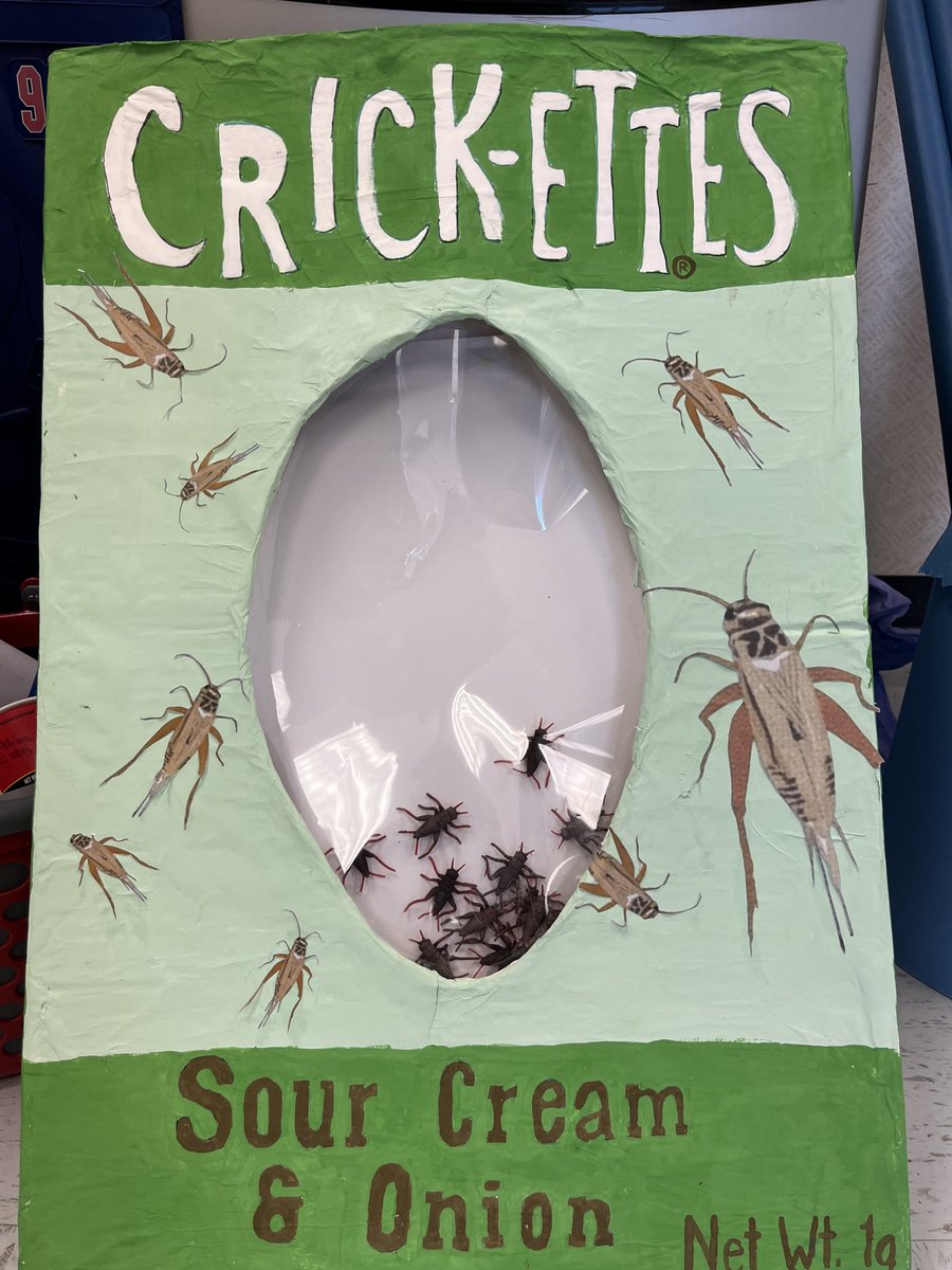 Crick-eyes ⁦<a href="/LindseyElem/">Lindsey  Elementary</a>⁩