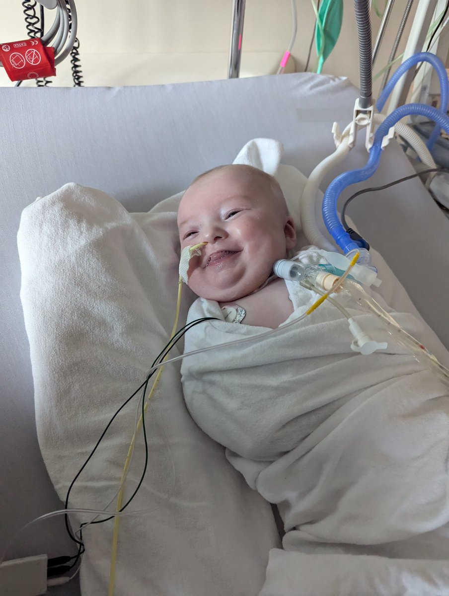 LOOK AT THIS FACE!!! After everything Wylder has been through, he still makes us laugh and smile with his personality 🩵

If you haven’t donated… the time is now. Every donation counts to help Wylder, Oakley, and everyone battling ABCA3. We can fund a cure with your help! 

🔗: