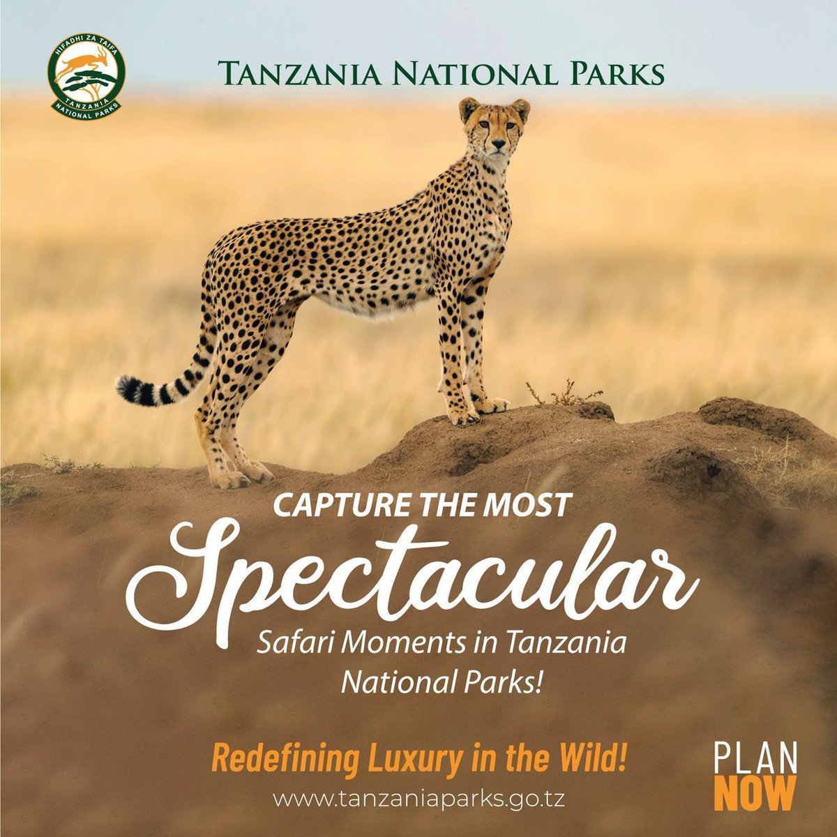 Welcome to #Tanzania