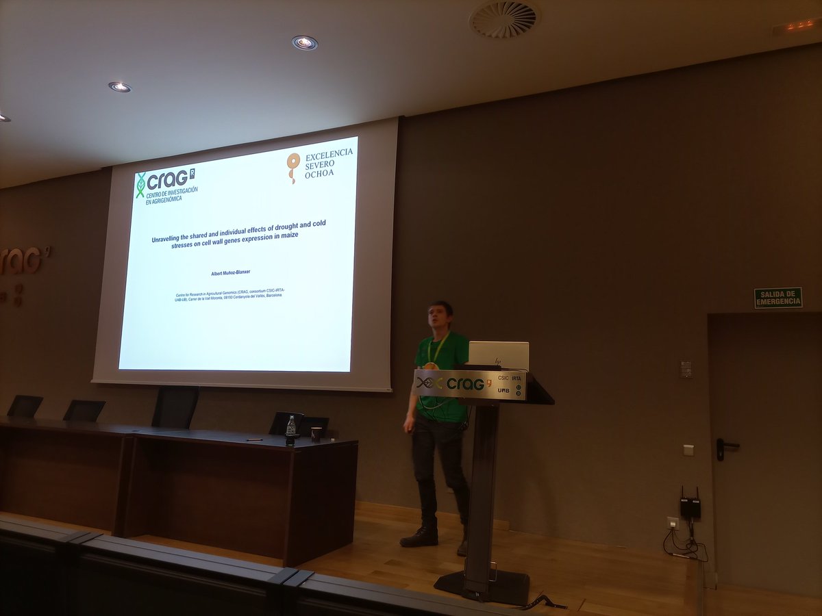 The short communications session has started with Albert Muñoz-Blanxer from @CRAGENOMICA explaining the effects of drought and cold stress on cell wall expression in maize.