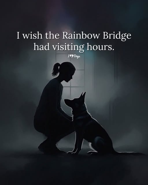 Dog Lovers (@doglovers03) on Twitter photo 