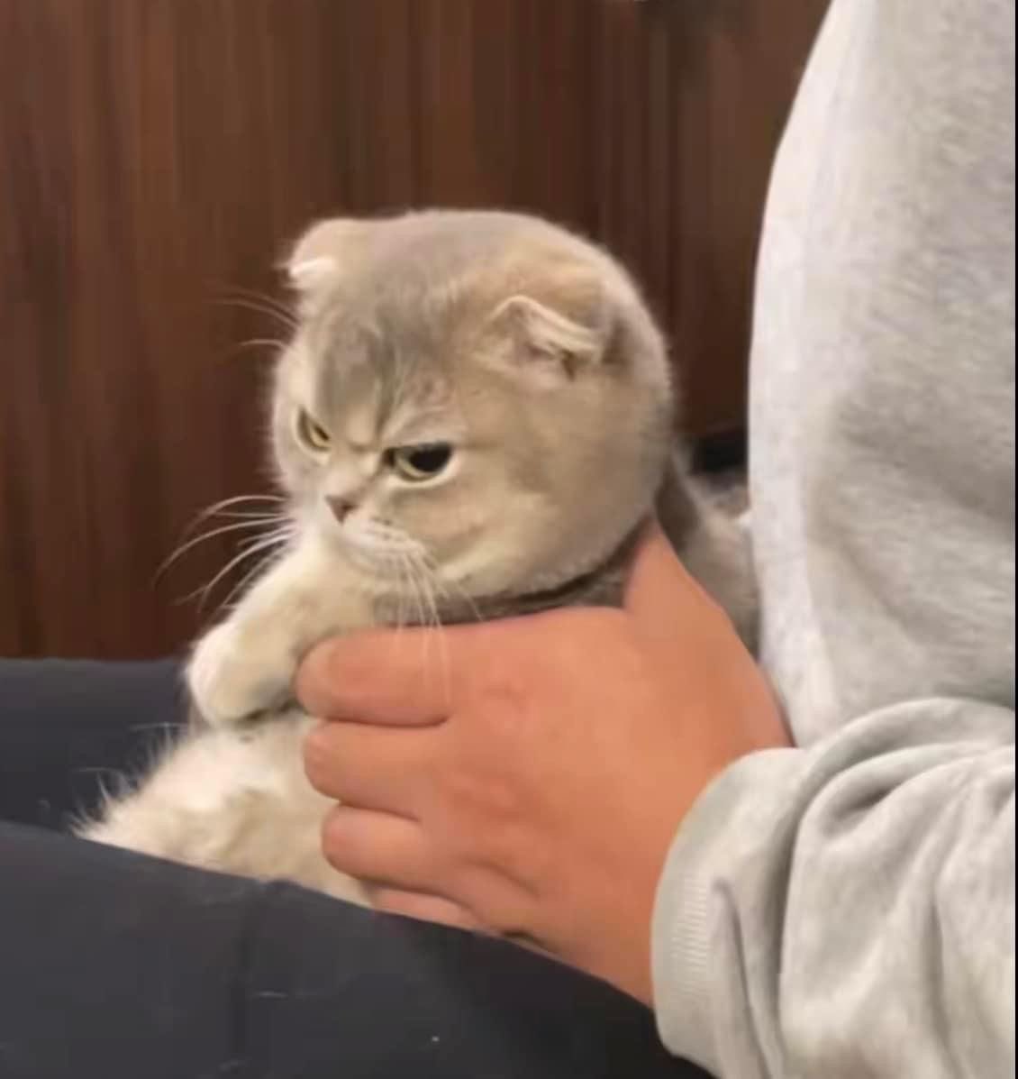 BittyCharm's tweet image. …สภาพ— เหมือนหนุได้ชื่อเล่นจากพี่เพิ่มเฉยเลยนิ ฮ่วย 💢💨