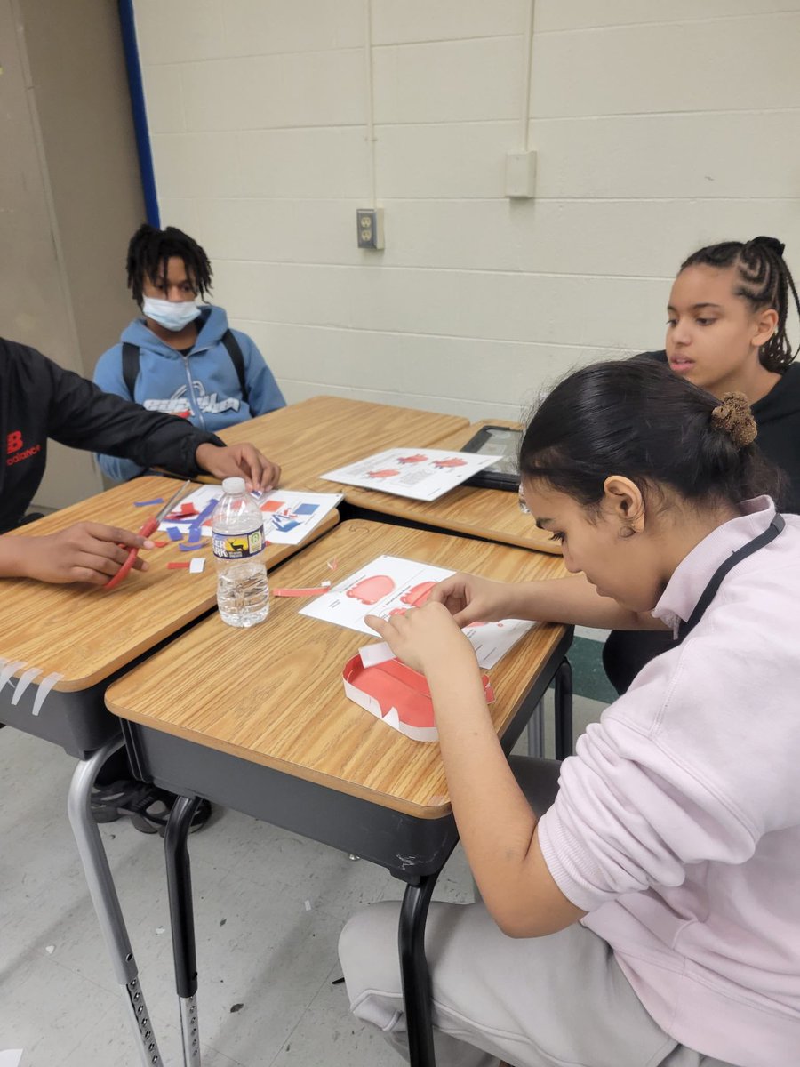 NNPSHPE's tweet photo. 7th Graders at @HinesSpartans creating origami models of the circulatory system in Health Education.

#middleschoolhealth #HPE #hearthealthy https://t.co/xgXxDaOjmU