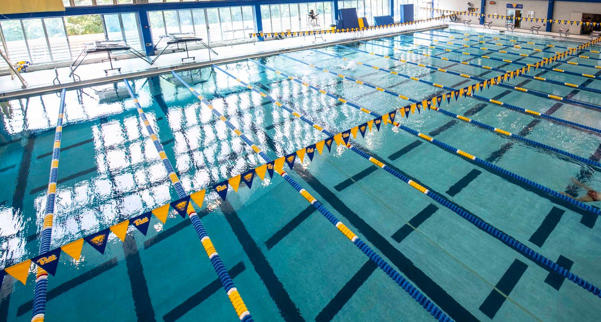 Faculty and staff @pitttweet say access to Trees, Bellefield pools remains a concern utimes.pitt.edu/news/faculty-a…
