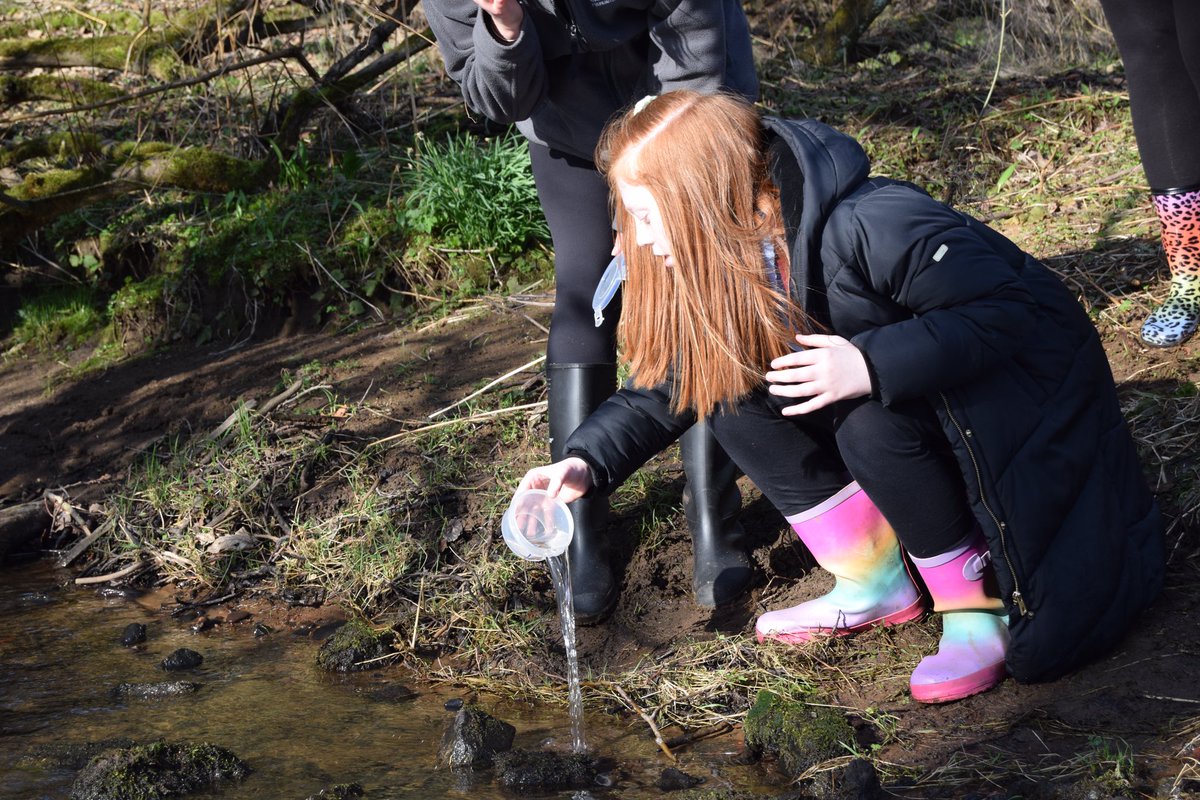 Clydeview Primary School tweet media