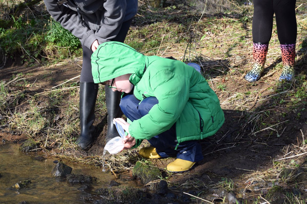 Clydeview Primary School tweet media