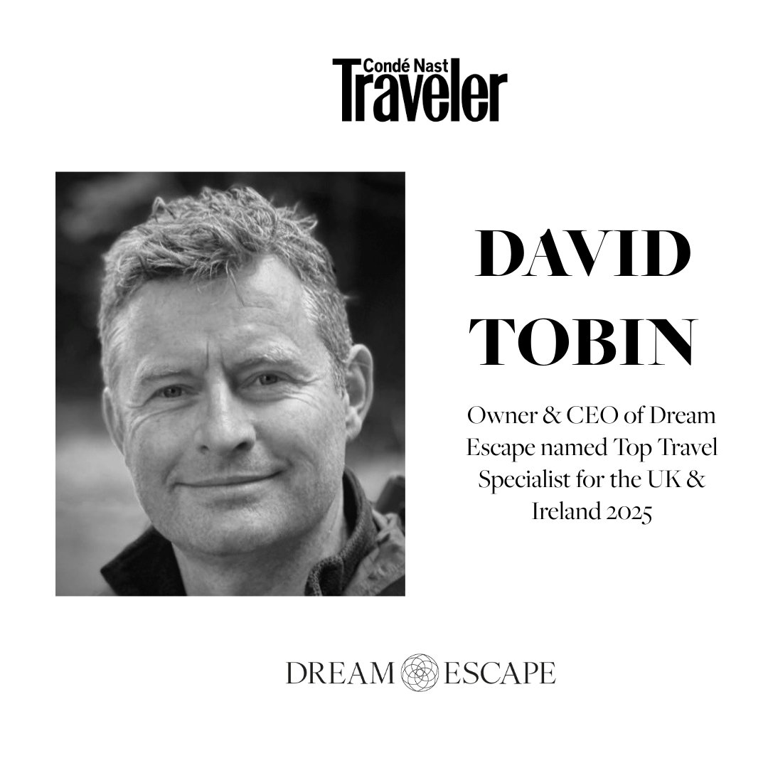 Dream Escape tweet media