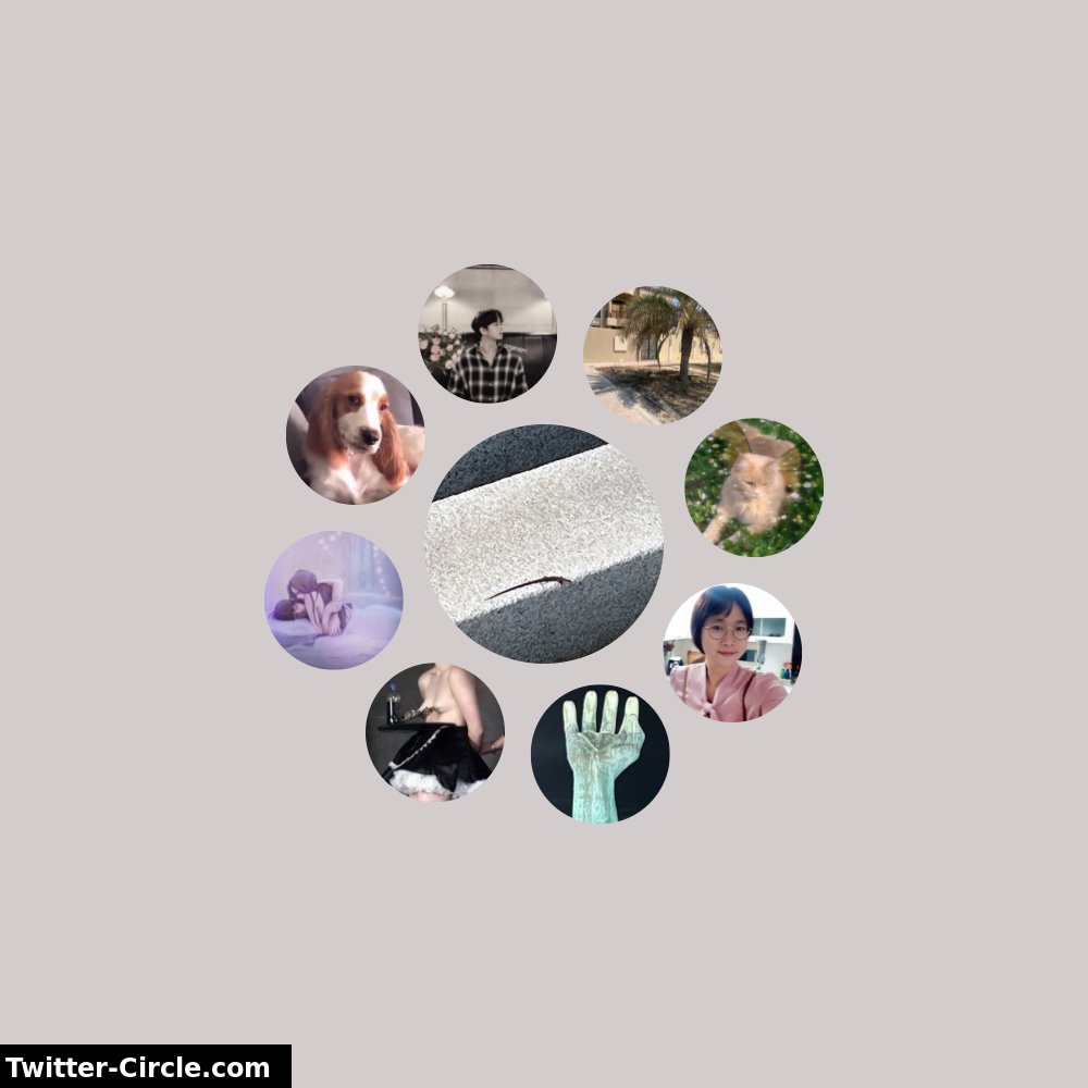 내 트위터 상호작용 서클

➡️ infinityweet.me/interaction-ci…