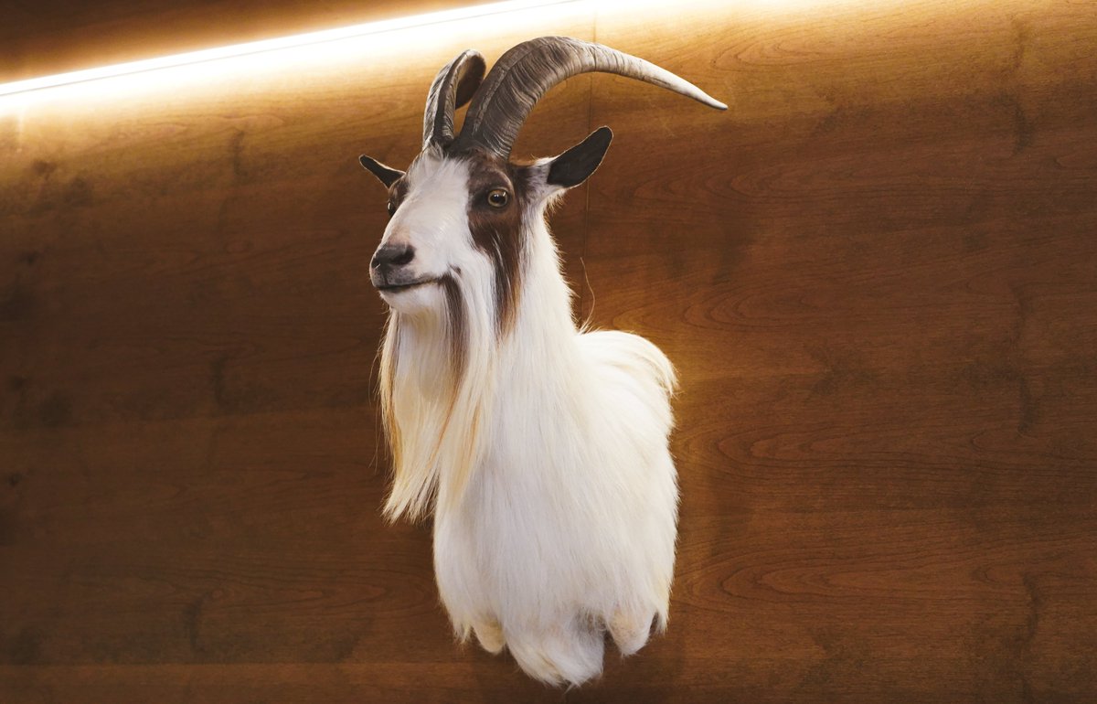 With years of construction now complete, #SouthPark's new European-inspired bar &amp; restaurant, #Bock, has a soft-open date set. Get that plus info on house beers from #SanDiego's foremost #lager team at <a href="/EatPuesto/">PUESTO</a>. | bit.ly/sdbn250311

#sdbeernews #sdbeer #craftbeer #beer