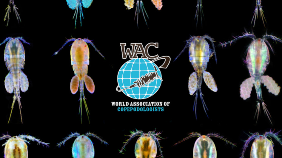 PeerJ Publishing (@thepeerj) on Twitter photo Introducing the WAC Hub, the publishing home of the World Association of Copepodologists
The World Association of Copepodologists is a nonprofit international organization whose purpose is to promote research on #Copepoda
Learn more bit.ly/3XCad9l
<a href="/copepodology/">World Association of Copepodologists</a> Introducing the WAC Hub, the publishing home of the World Association of Copepodologists
The World Association of Copepodologists is a nonprofit international organization whose purpose is to promote research on #Copepoda
Learn more bit.ly/3XCad9l
<a href="/copepodology/">World Association of Copepodologists</a>