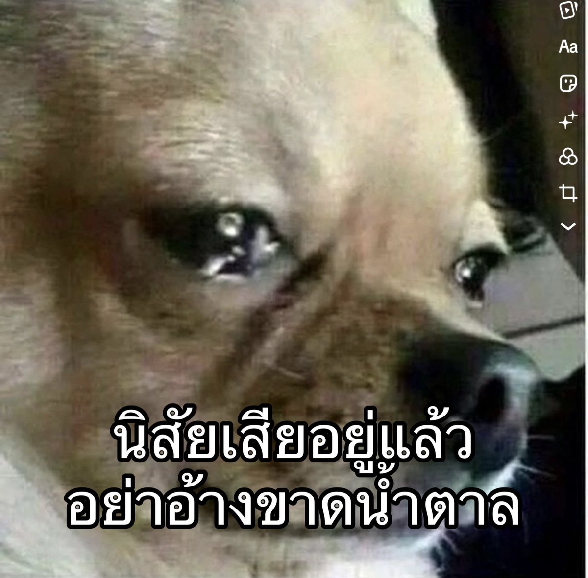 กินน้ำหวานทั้งวันก็ไม่เห็นนิสัยจะดีขึ้น