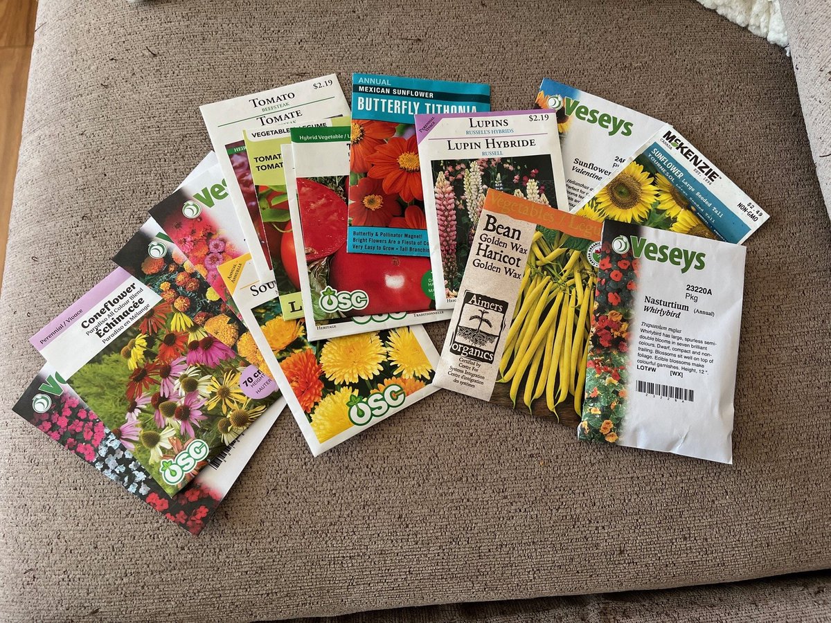 Can't wait to start sowing seeds in the greenhouse.  I did start some Colorado Blue Spruce and Cup Plant seeds in the fridge this week.  They require a period of cold stratification to germinate.   
Next up: impatiens seeds in 2 weeks.