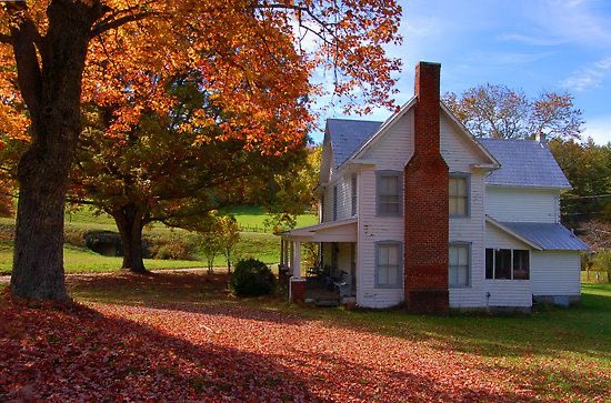 no_grave_'s tweet image. A house should grow like a tree—not be assembled like a car.” -CA