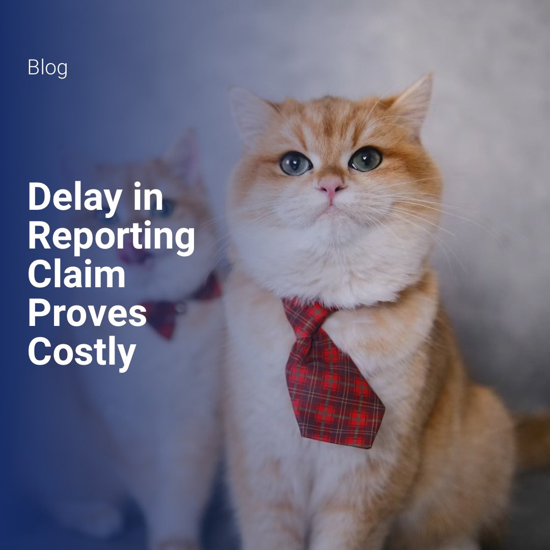 SBA Lawyers LLP tweet media