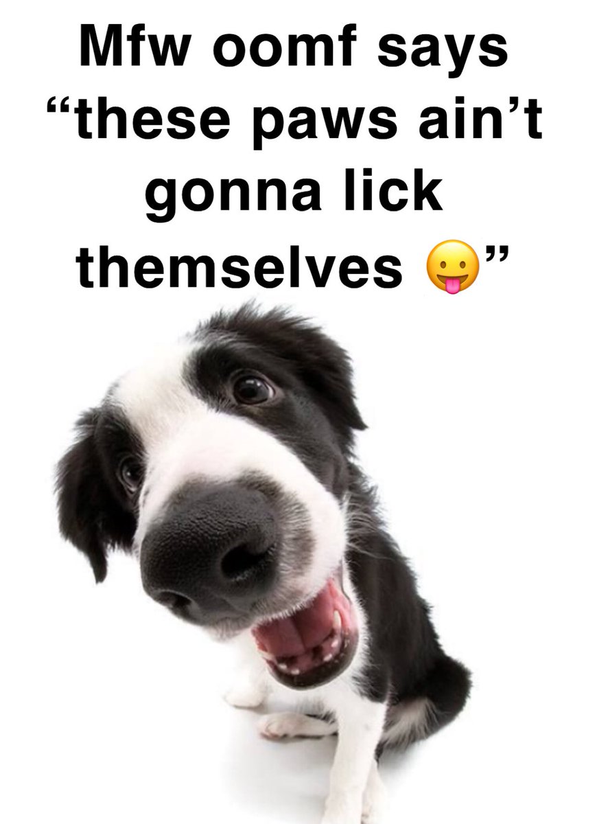 Nix 🐾 tweet media