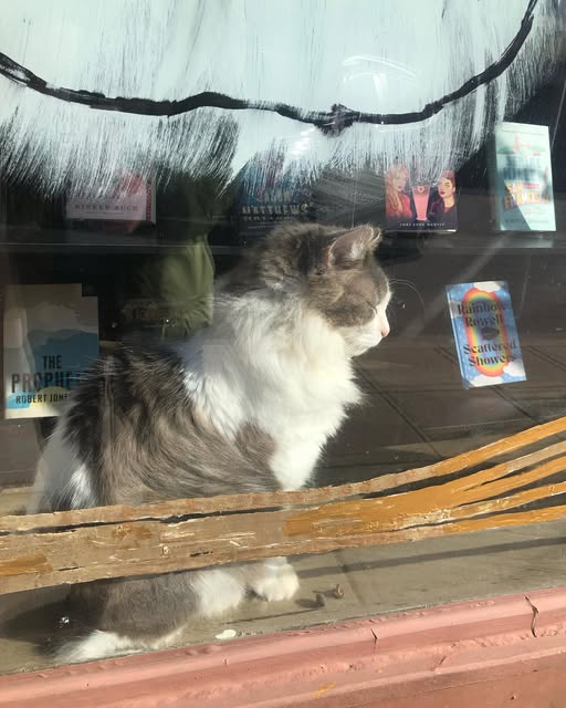 BookMarx tweet media