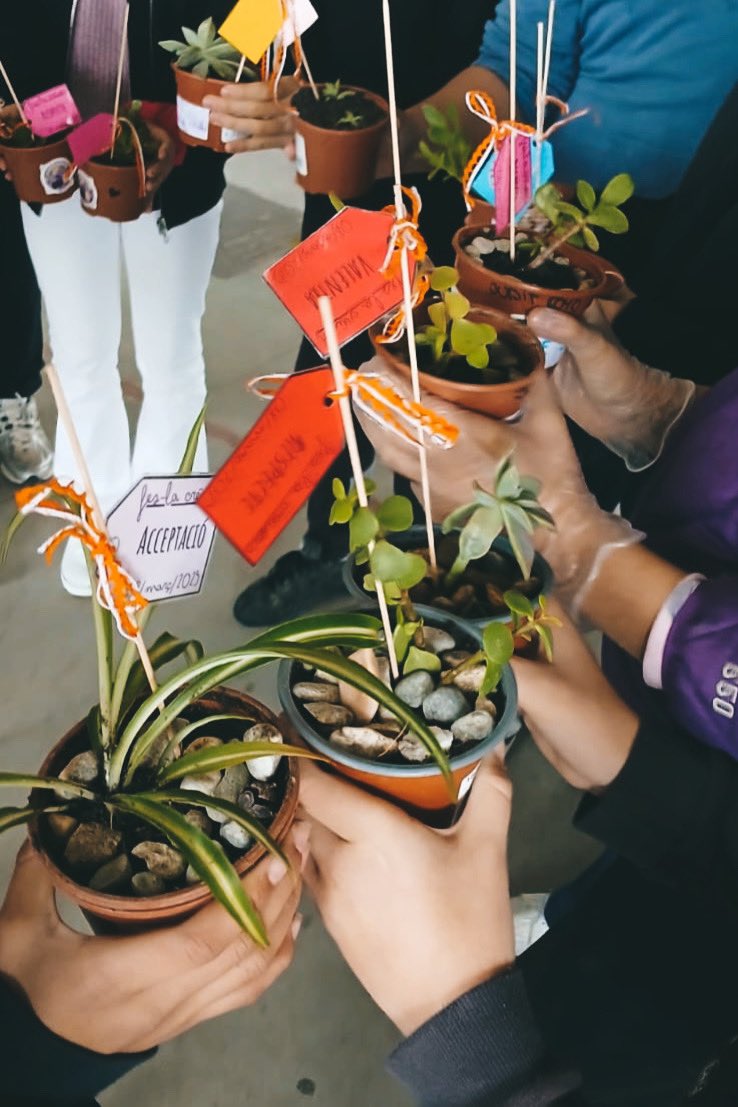 InsMColomer's tweet photo. 💟 Divendres passat, amb motiu de la commemoració del Dia de la Dona, l’alumnat va realitzar un taller a càrrec del grup local "Sesrovirenques". 

Es van portar terra, esqueixos, testos i elements decoratius, perquè l'alumnat seleccionés l'esqueix que volia plantar. 🪴

⬇️ https://t.co/eyAIt9MJF6
